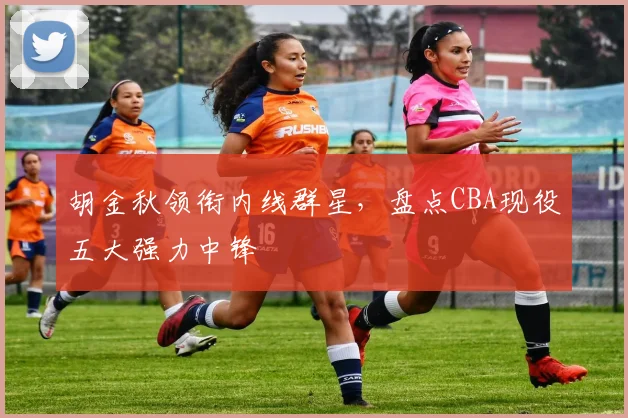 胡金秋领衔内线群星，盘点CBA现役五大强力中锋