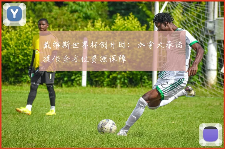 戴维斯世界杯倒计时:加拿大承诺提供全方位资源保障